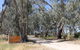 Gunbower Island Forest Drive - thumb 2