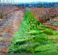 Hall Family Orchards - Accommodation VIC