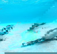 Jurien Bay - Accommodation VIC