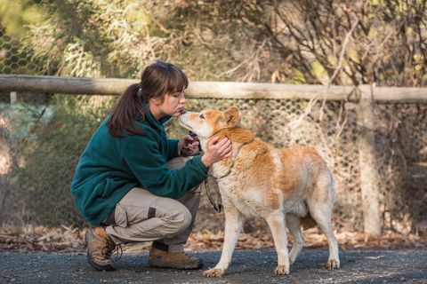 Kyabram Fauna Park - Accommodation VIC 1