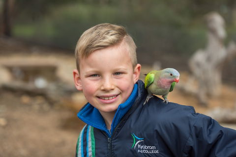Kyabram Fauna Park - Accommodation VIC 2
