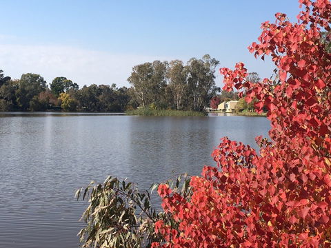 Lake Benalla - Accommodation VIC 1