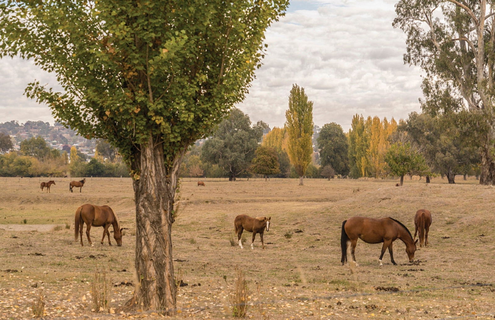 Lemington NSW Accommodation VIC