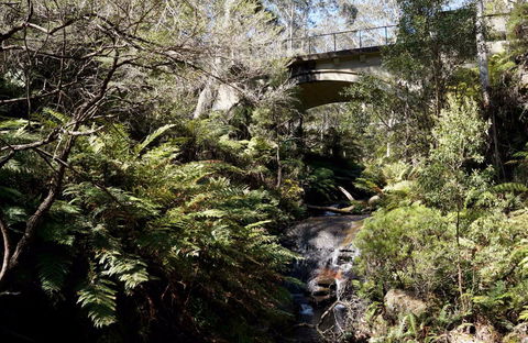 Leura Cascades Picnic Area - Accommodation VIC 1