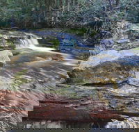 Liffey Falls Reserve - Accommodation VIC