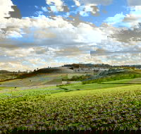 Lions Park Hodgson Vale - Accommodation VIC