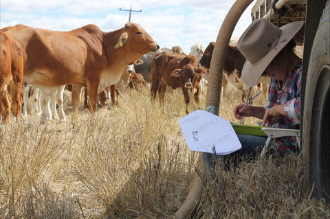 Longreach School Of Distance Education - Accommodation VIC 2