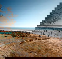Mon Repos Beach