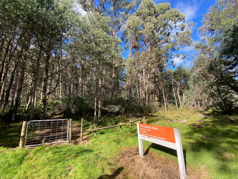 Mount Torbreck Summit Walk - Accommodation VIC 1