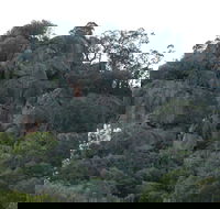 Mount Yarrowyck Nature Reserve - Accommodation VIC