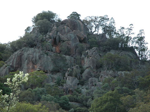 Mount Yarrowyck Nature Reserve - Accommodation VIC 0