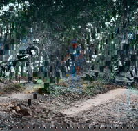 Nerang Mountain Bike Trails - Accommodation VIC