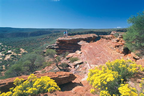 Northern Explorer Wildflower Trail - Accommodation VIC 1