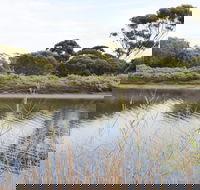 Onkaparinga River Recreation Park - Accommodation VIC