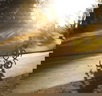Parramatta River Cycleway - Accommodation VIC