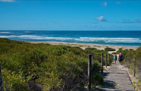 Pelican Beach Road Lookout - Accommodation VIC 0