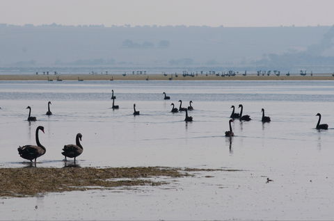Port Phillip Heads Marine National Park - Accommodation VIC 2