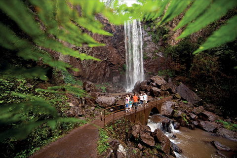 Queen Mary Falls Circuit, Main Range National Park - Accommodation VIC 0