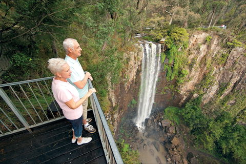 Queen Mary Falls Circuit, Main Range National Park - Accommodation VIC 1