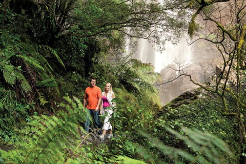 Queen Mary Falls Circuit, Main Range National Park - Accommodation VIC 2