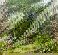 River walking track - Accommodation VIC