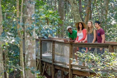 Sea Acres Rainforest Centre - Accommodation VIC 1