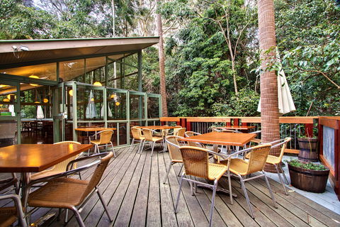 Sea Acres Rainforest Centre - Accommodation VIC 2