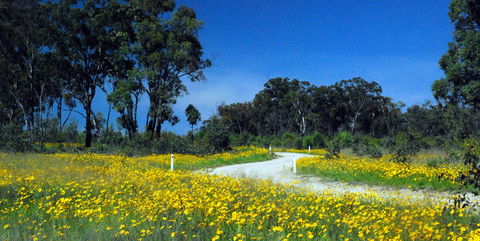 Shearer's Way - Accommodation VIC 0