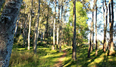Square Head Track 1 - Accommodation VIC 0