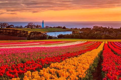 Table Cape - Accommodation VIC 0