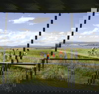 Tamar Island Wetlands Centre and Reserve - Accommodation VIC