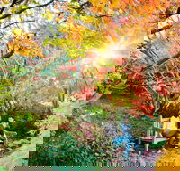 The Blue Mountains Botanic Garden Mount Tomah - Accommodation VIC