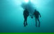 The Arches Marine Sanctuary - thumb 0