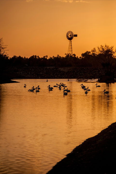 Thomson River, Longreach - Accommodation VIC 2
