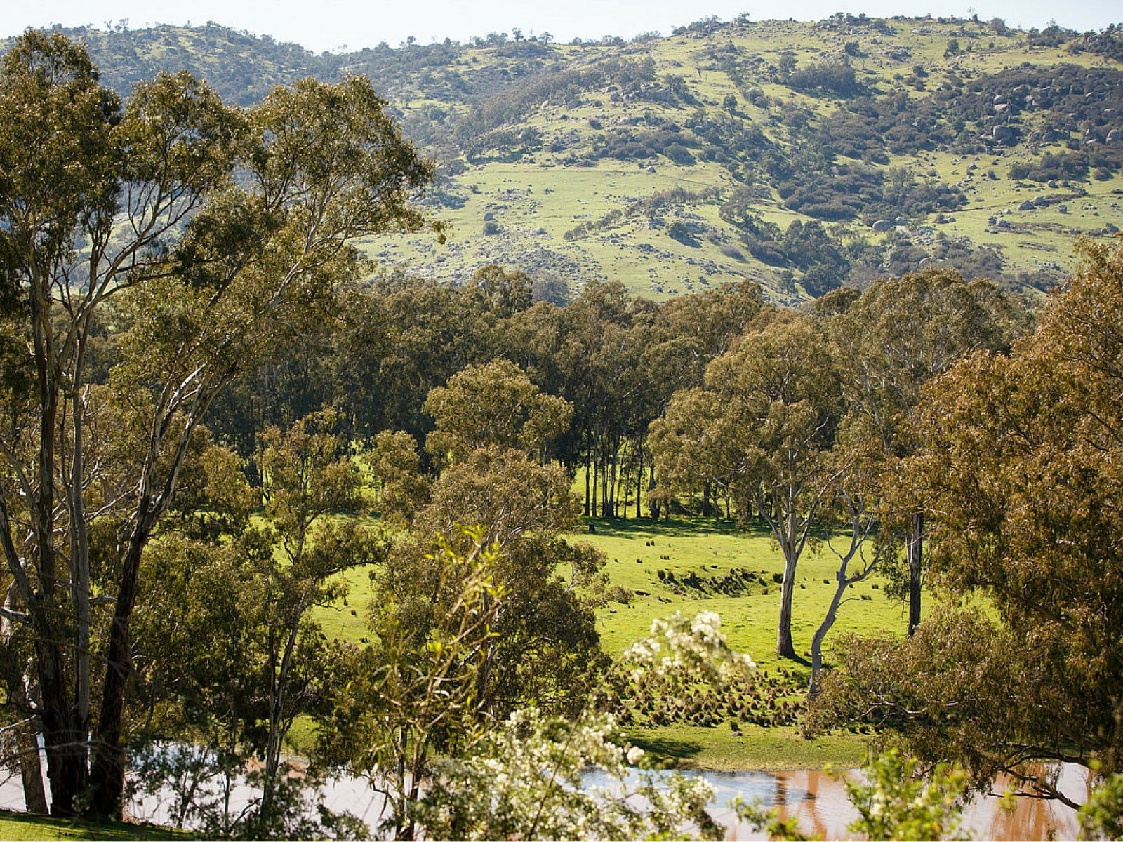 Trawool VIC Accommodation VIC