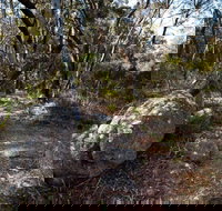 Tuross Falls walking track - Accommodation VIC