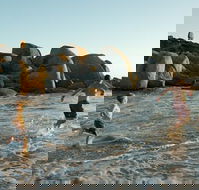 Venus Bay - Accommodation VIC