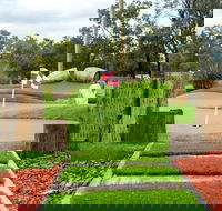 Vines Mini Golf - Accommodation VIC