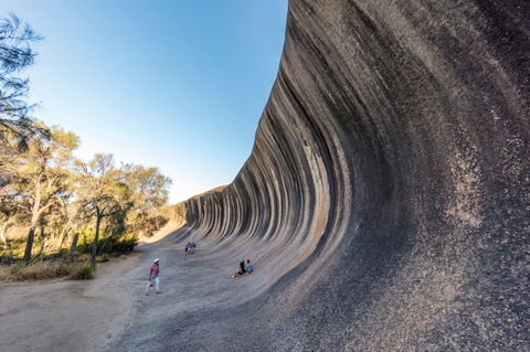 Wave Rock Wildflower Trail - Accommodation VIC 0