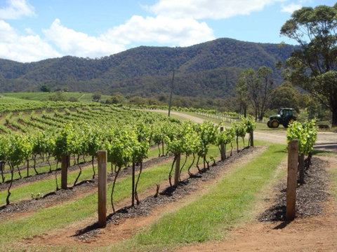 Wollombi - Accommodation VIC 1