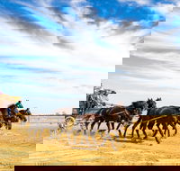 7 Day Outback Giants - Accommodation VIC