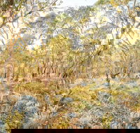 Alpine Views Walk - Accommodation VIC