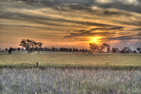 Ardlethan - Accommodation VIC 2