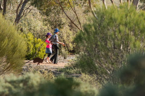 Australian Arid Lands Botanic Garden - Accommodation VIC 0