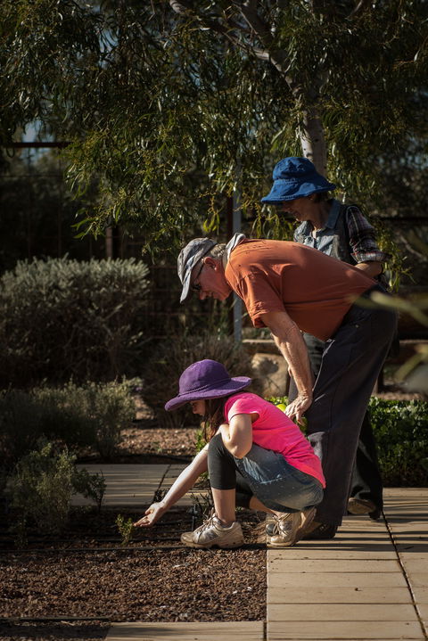 Australian Arid Lands Botanic Garden - Accommodation VIC 1