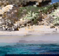 Australian Sea Lions - Accommodation VIC