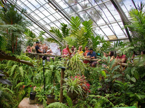 Australian Butterfly Sanctuary - Accommodation VIC 2