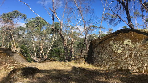 Bailey's Rocks - Dergholm State Park - Accommodation VIC 0