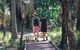 Banksia Track, Burrum Coast National Park - thumb 0