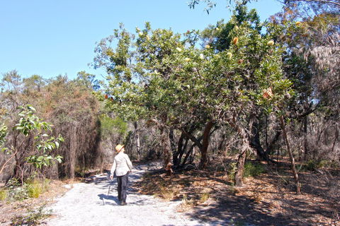 Banksia Track, Burrum Coast National Park - Accommodation VIC 1